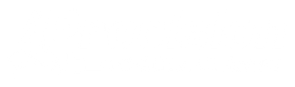 Precision Toggle Clamps