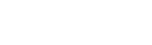 Precision Toggle Clamps